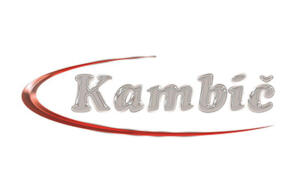 Kambic