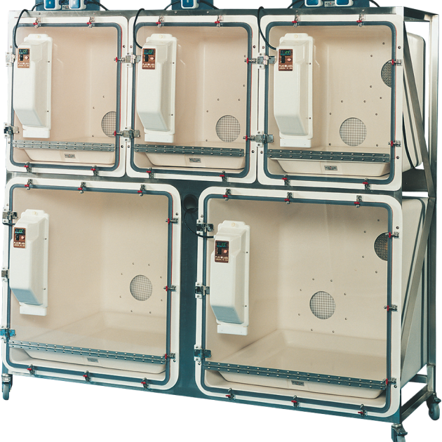 FIC Ward System