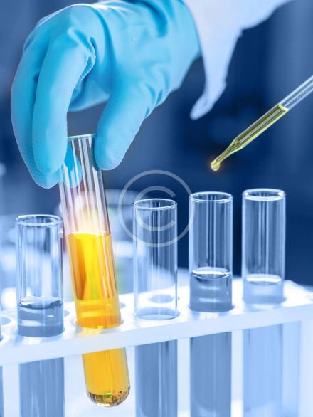 home4-image1-copyright